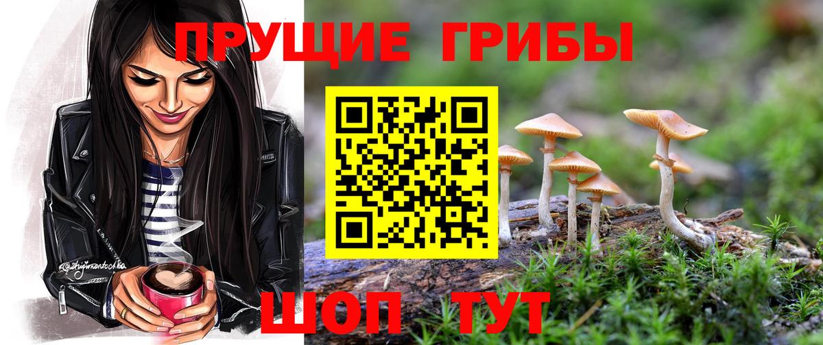 Псилоцибиновые грибы мицелий  Вход с VPN  Узловая  закладки  Псилоцибиновые грибы мицелий 